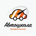 АНО "Автошкола профессионал 2011"